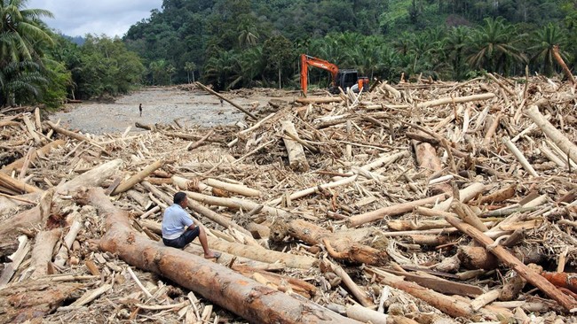 Menyusun Aturan Hukum Terhadap Pelaku Illegal Logging dalam Prinsip Nasionalisme-Statis